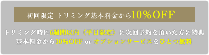 キャンペーン