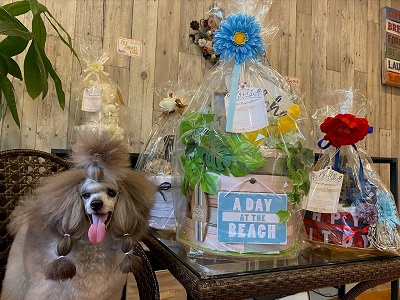 Pet sheet cake