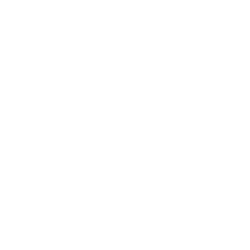 petsheet cake